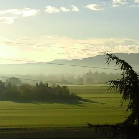 A Different Style 住宿加早餐酒店 萨韦纳河畔圣拉扎罗