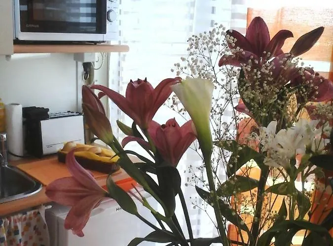 A Different Style Oda ve Kahvaltı