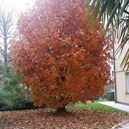 Acero Rosso Apartamento