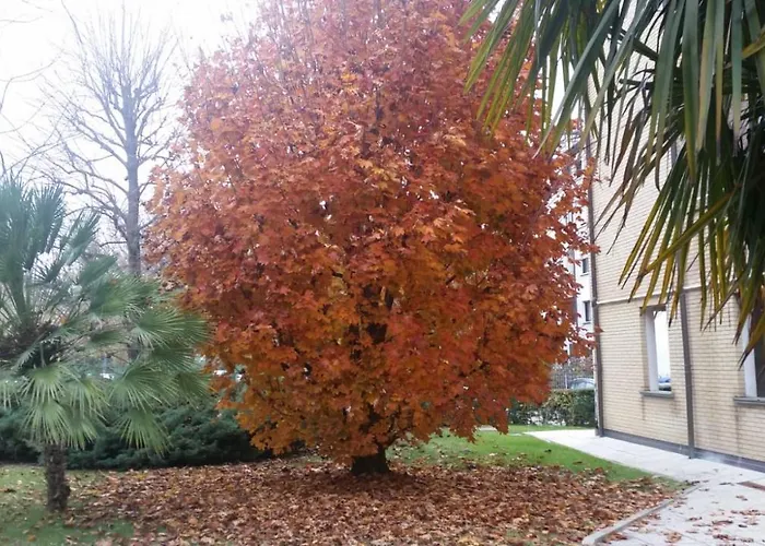 A Different Style Alojamento de Acomodação e Pequeno-almoço